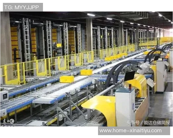 意用与中超的碰撞与融合探讨中国足球的未来发展方向与挑战